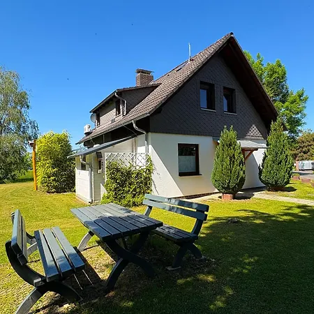 Holly * Frielendorf